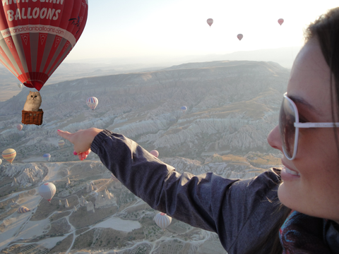 Cat over Turkey